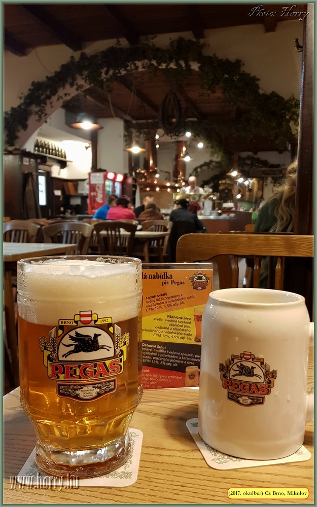 (2017.10.29-31.)Brno_Mikulov-008.jpg