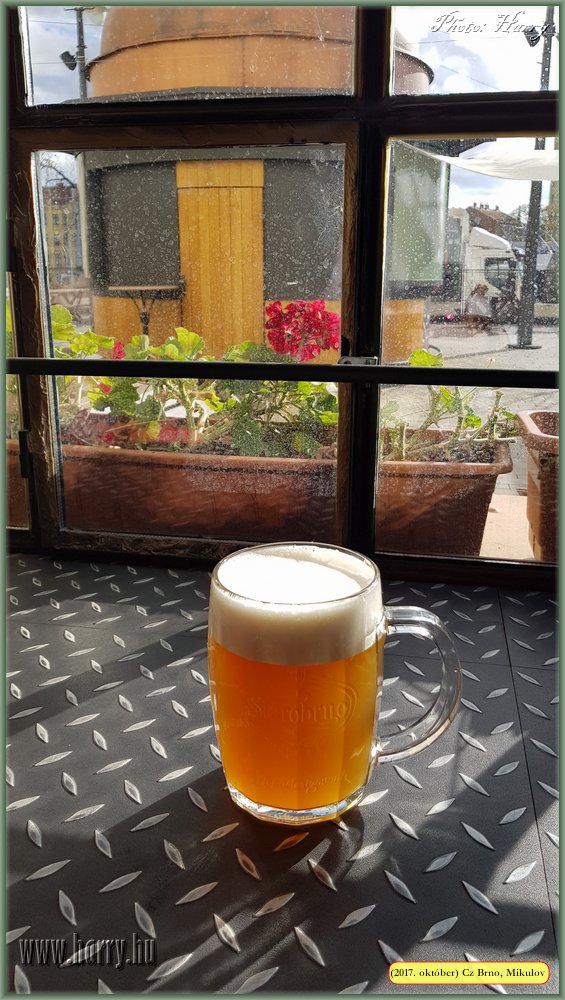 (2017.10.29-31.)Brno_Mikulov-022.jpg
