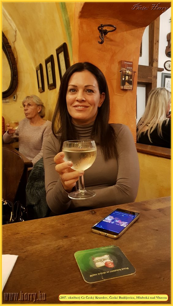 (2017.oktober)Cz-Cesky_Krumlov_Ceske_Budejovice_Hluboka-044.jpg