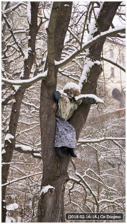 (2018.02.16-18.)Cz-Znojmo-133.jpg