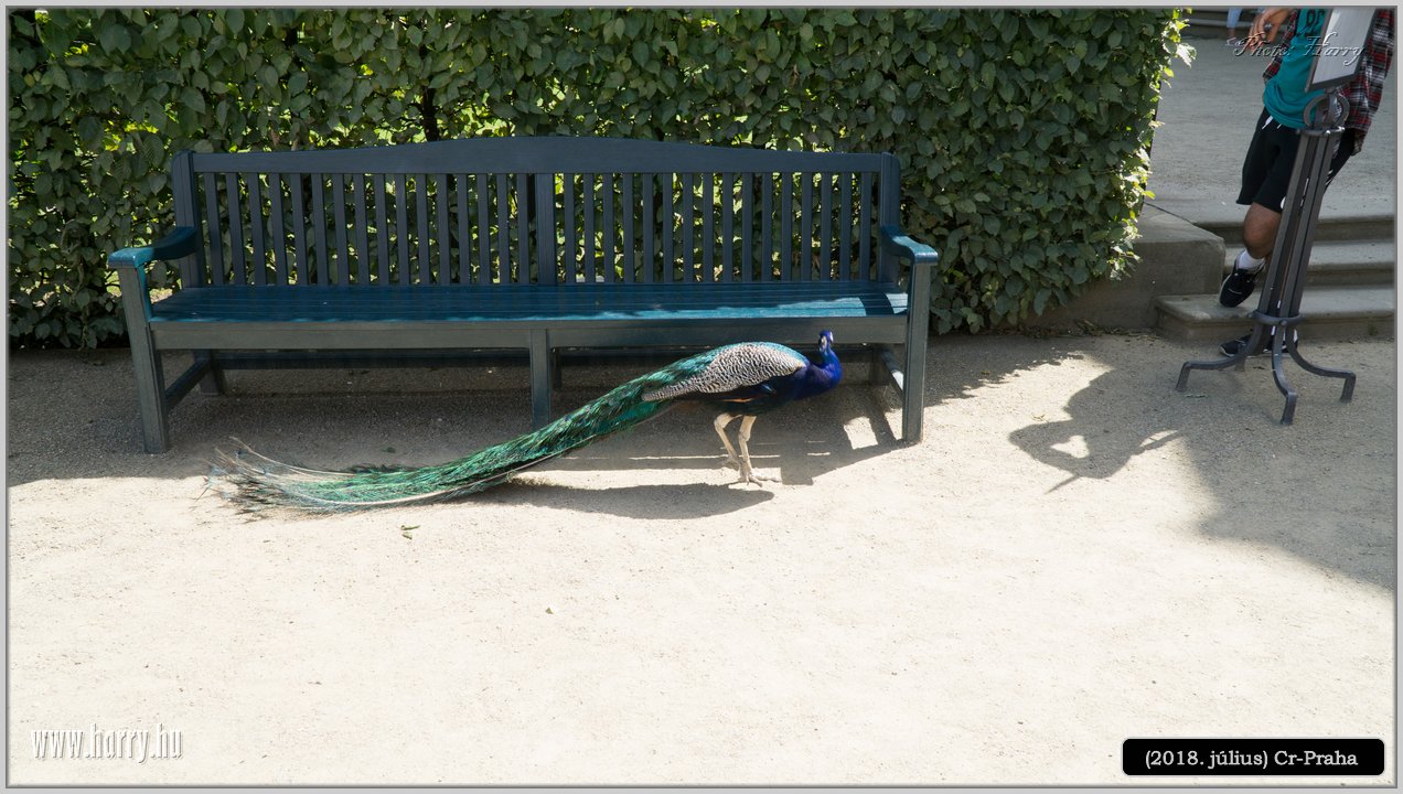 (2018.julius)Cz-Praga-252.jpg