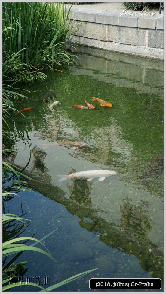(2018.julius)Cz-Praga-266.jpg