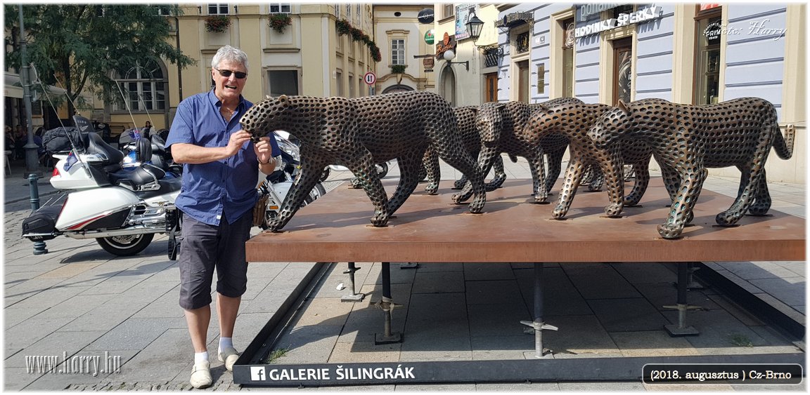 (2018.augusztus)Cz-Brno-019.jpg