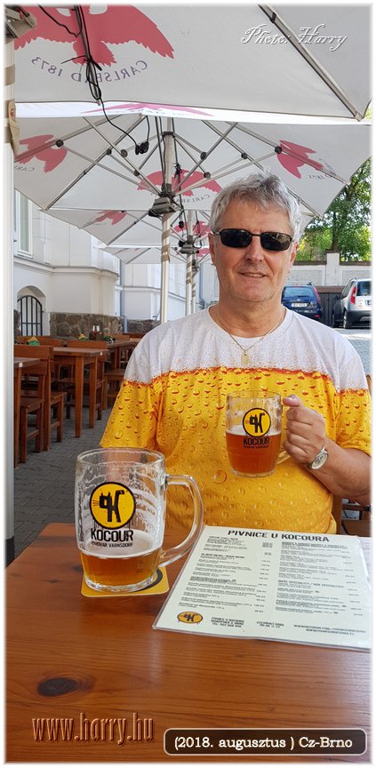 (2018.augusztus)Cz-Brno-125.jpg