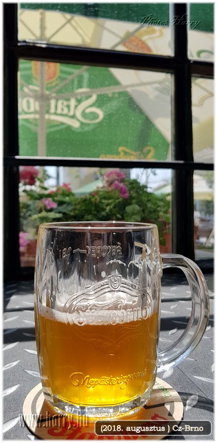 (2018.augusztus)Cz-Brno-129.jpg