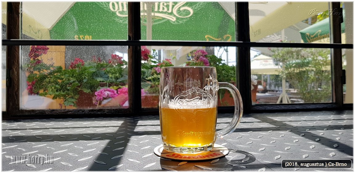 (2018.augusztus)Cz-Brno-130.jpg