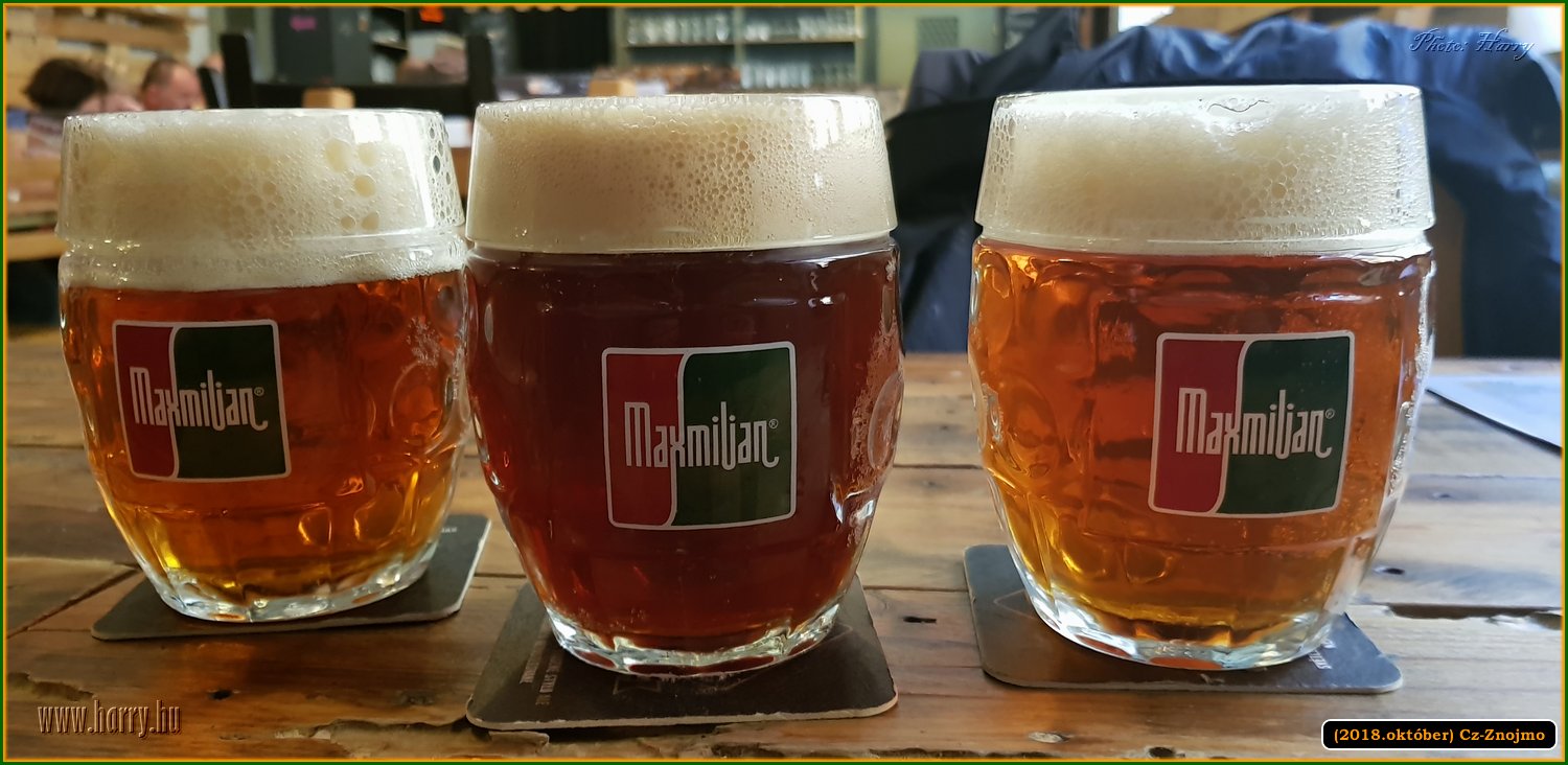 (2018.oktober)Cz-Znojmo-051.jpg