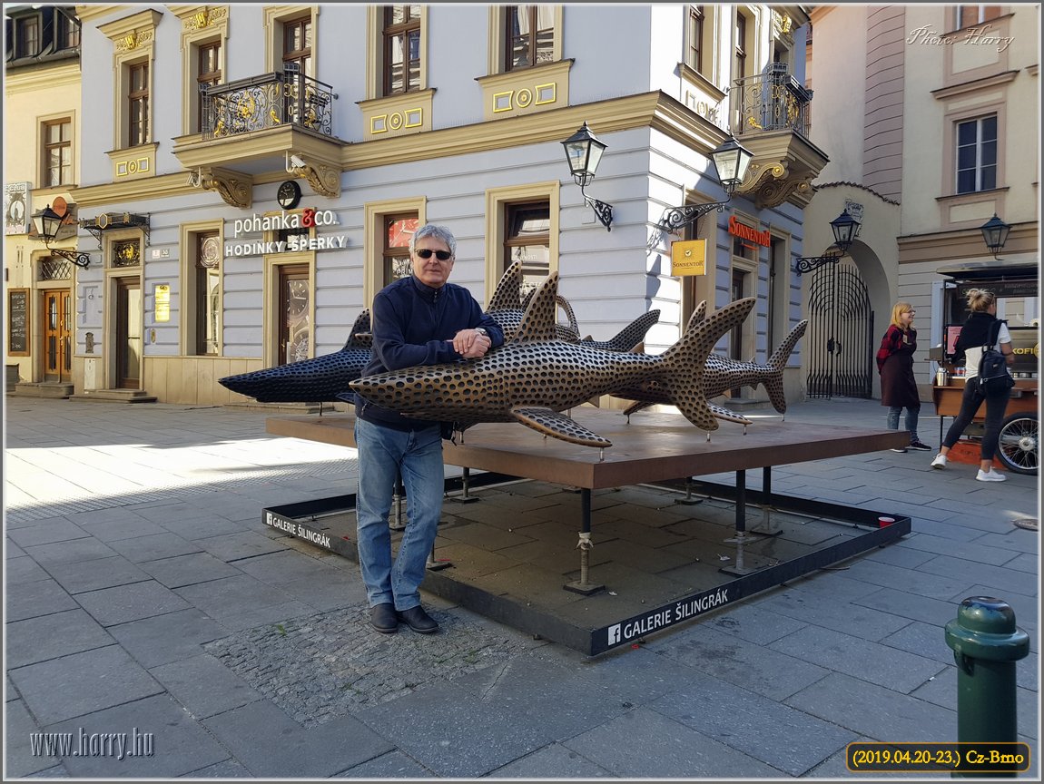 (2019.04.20-23)-Cz-Brno-264.jpg
