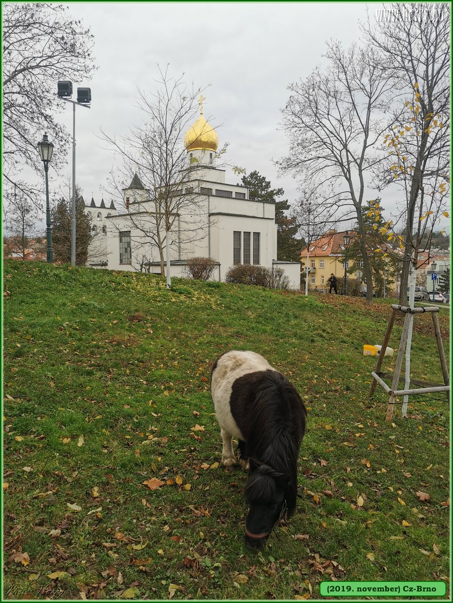 2019.november-Cz-Brno-076.jpg