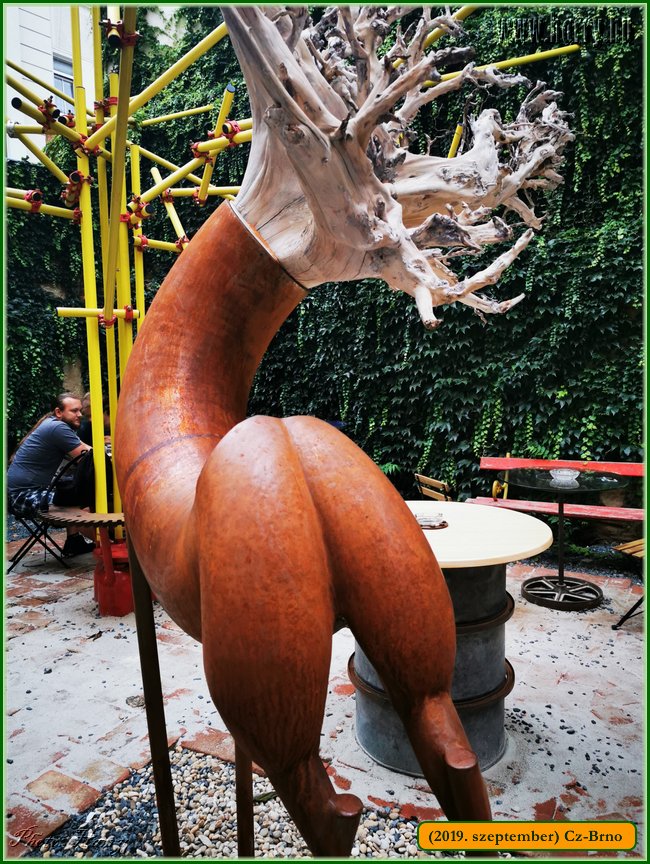 2019.szeptember-Cz-Brno-049.jpg