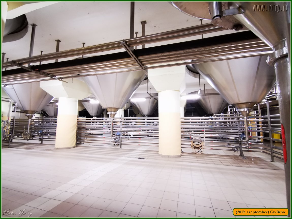 2019.szeptember-Cz-Brno-145.jpg
