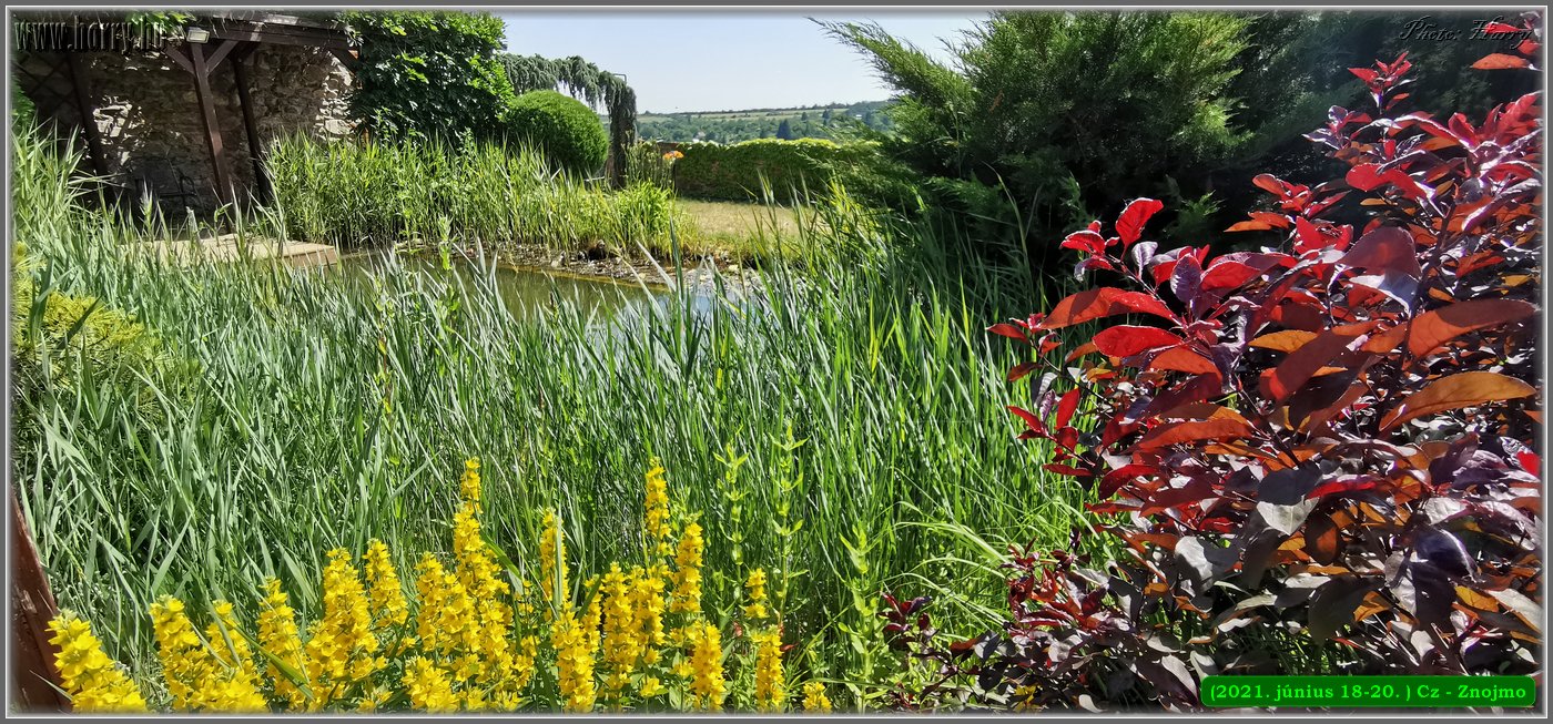 2021.06.18-20.-Cz-Znojmo-015.jpg