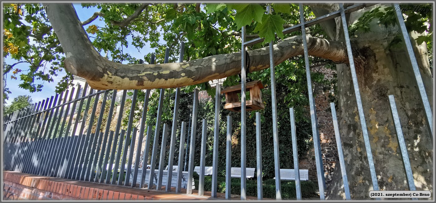 2021.augusztus-Cz-Brno-084.jpg