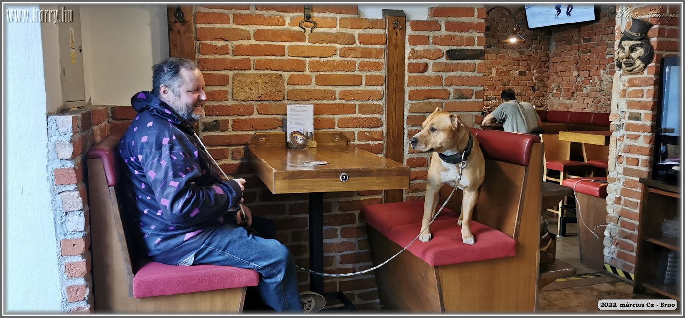 2022.03-Cz-Brno-029.jpg
