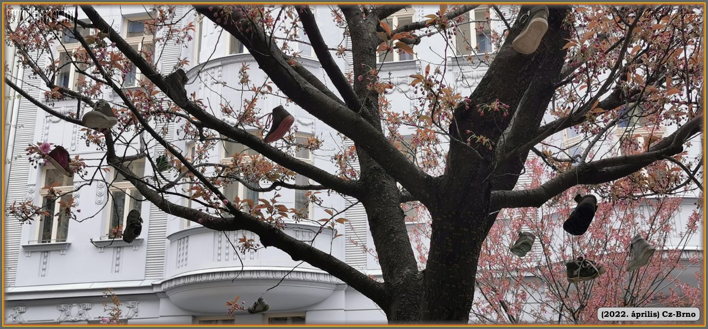 2022.04.-Cz-Brno-094.jpg