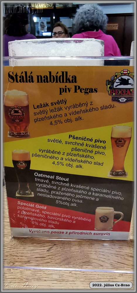 2022.07-Cz-Brno-110.jpg