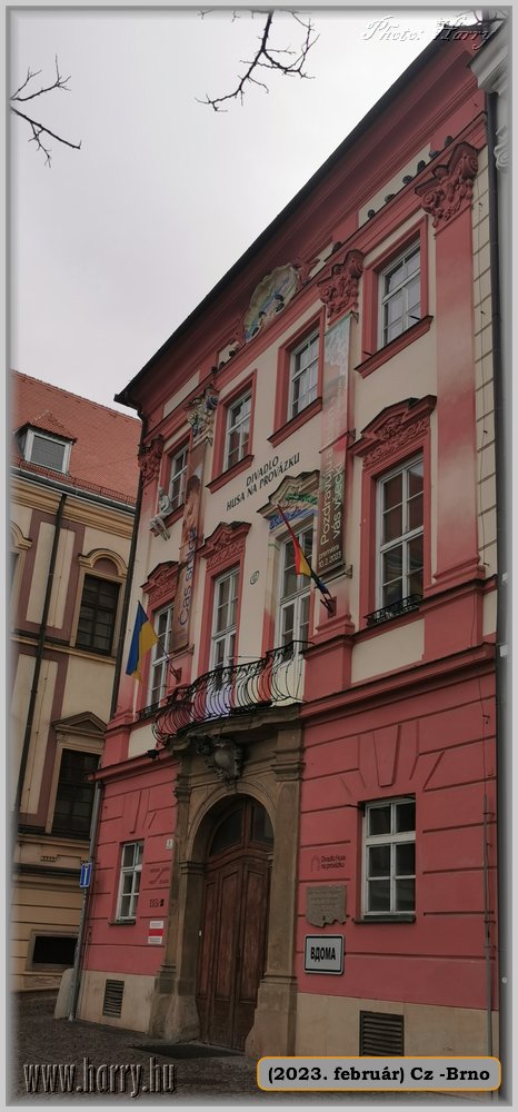 2023.02-Cz-Brno-120.jpg