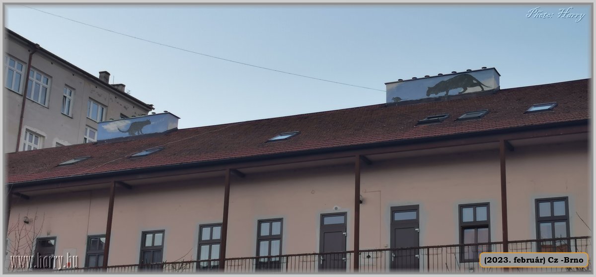 2023.02-Cz-Brno-127.jpg