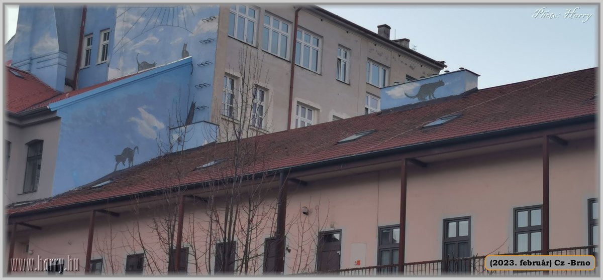 2023.02-Cz-Brno-128.jpg