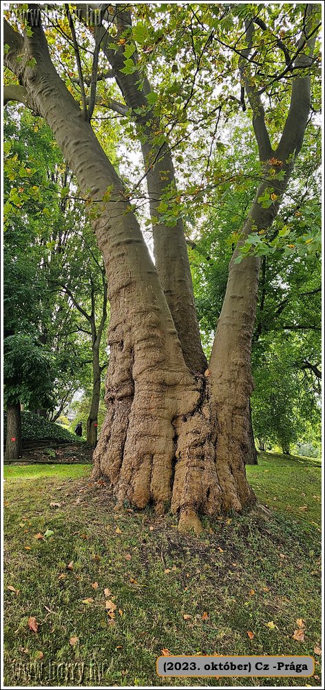 2023.oktober-Cz-Praga-072.jpg