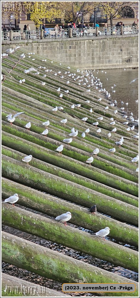 2023.11-Cz-Praga-306.jpg