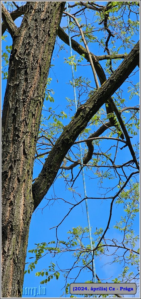 2024.04-Cz-Praga-328.jpg