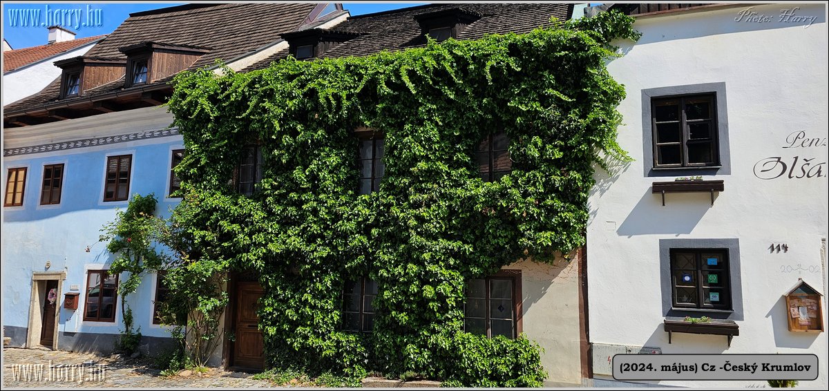 2024.05--Cz-Cesky_Krumlov-296.jpg