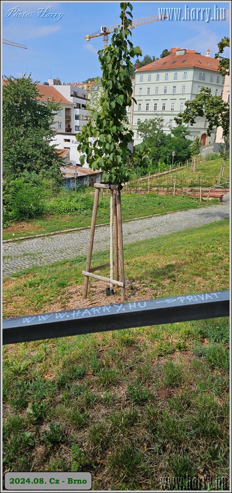 2024.08.-Cz-Brno-078.jpg