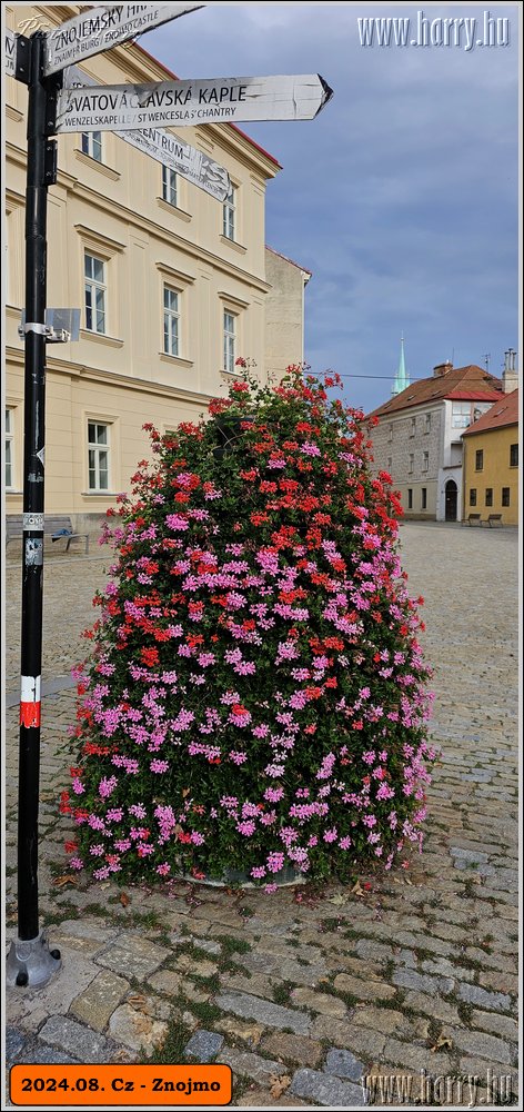 2024.08.-Cz-Znojmo-085.jpg
