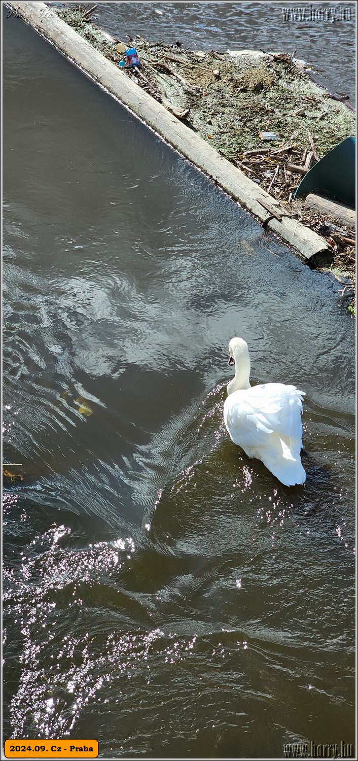 2024.09-Cz-Praga-046.jpg