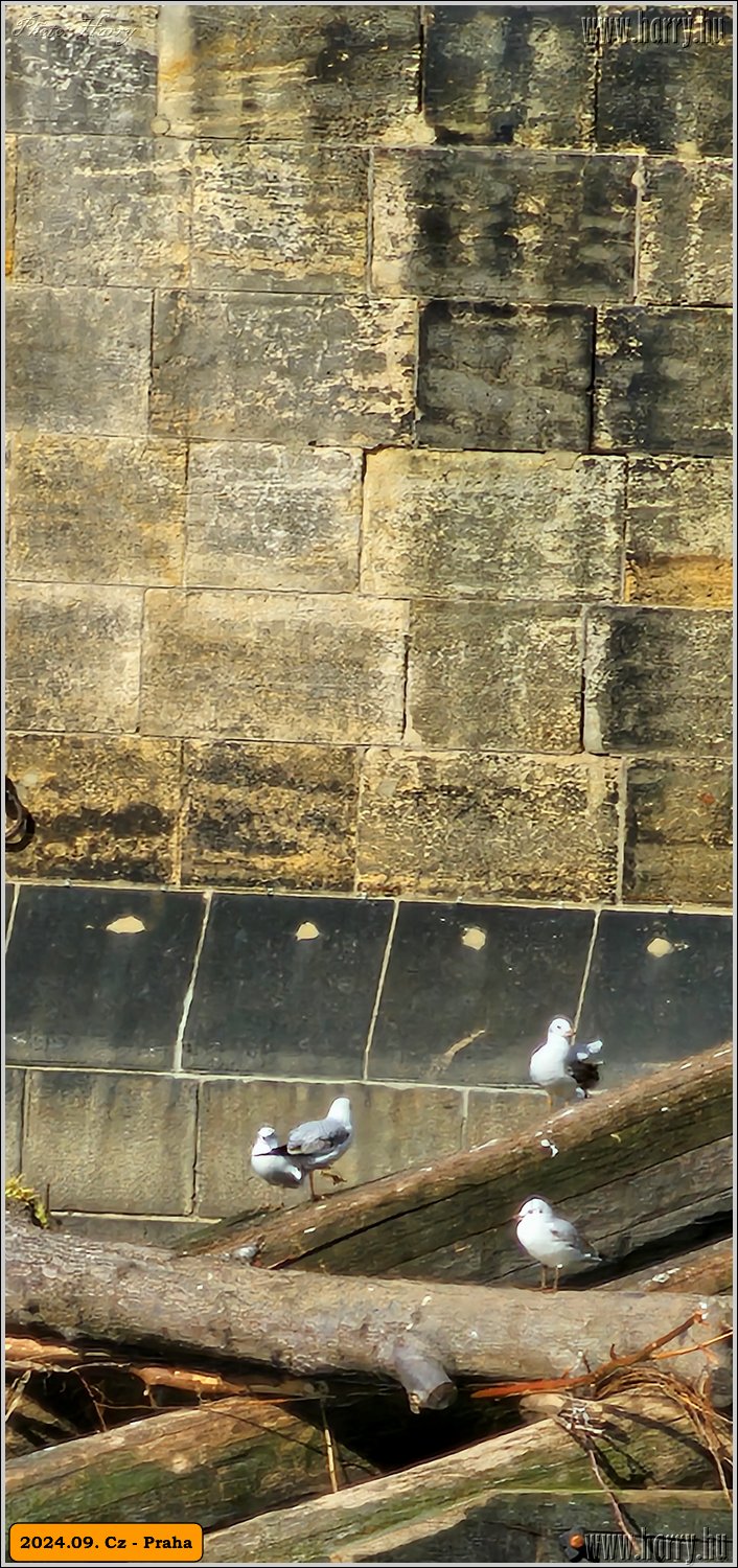 2024.09-Cz-Praga-063.jpg