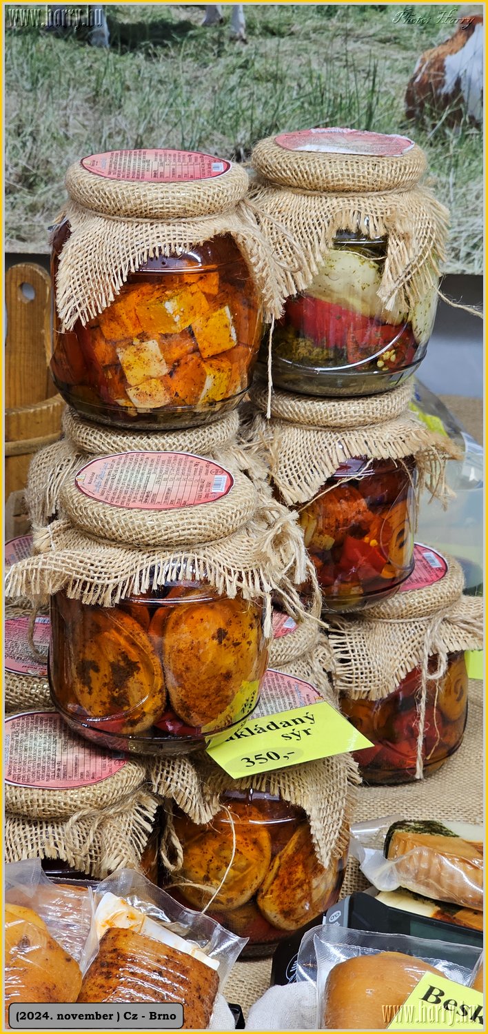 2024.11-Cz-Brno-033.jpg