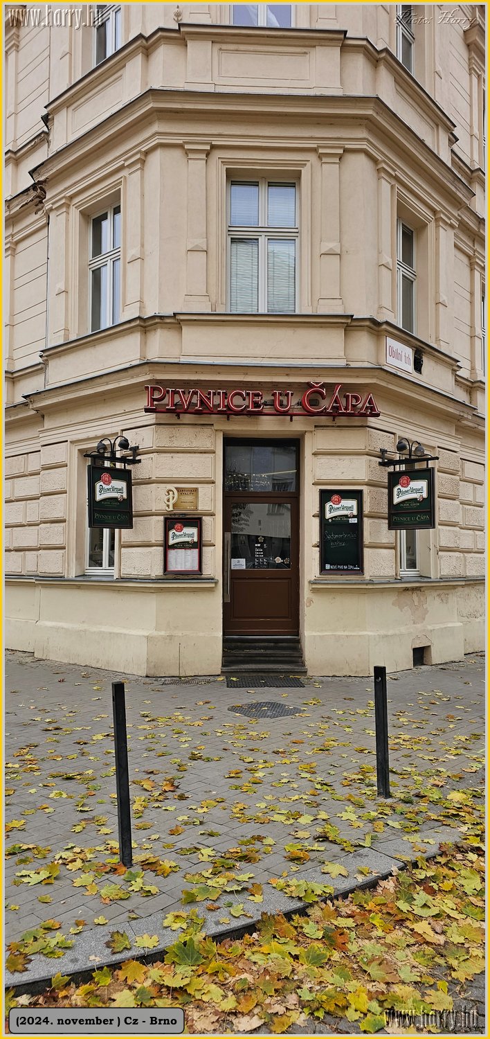 2024.11-Cz-Brno-053.jpg