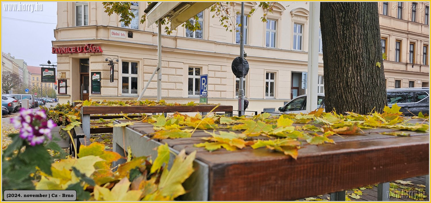 2024.11-Cz-Brno-056.jpg