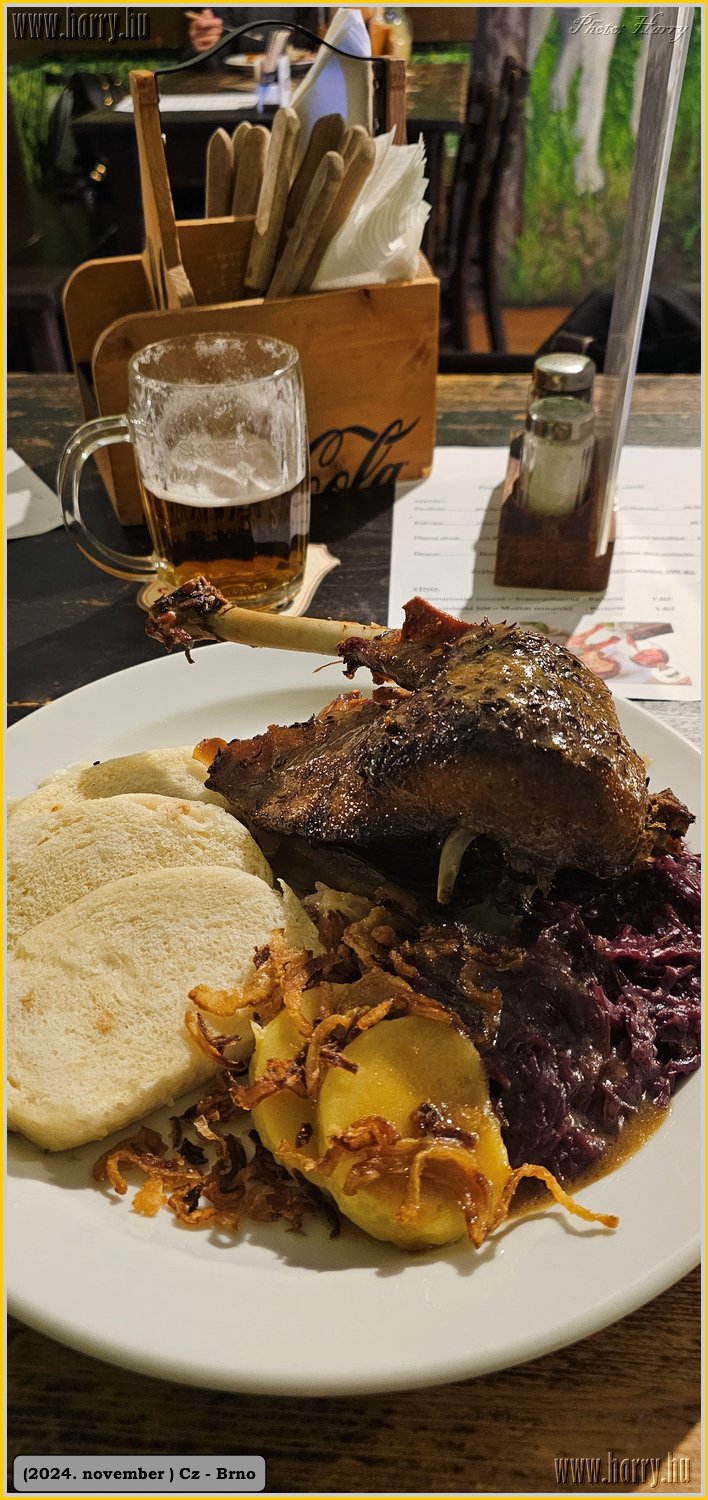 2024.11-Cz-Brno-176.jpg