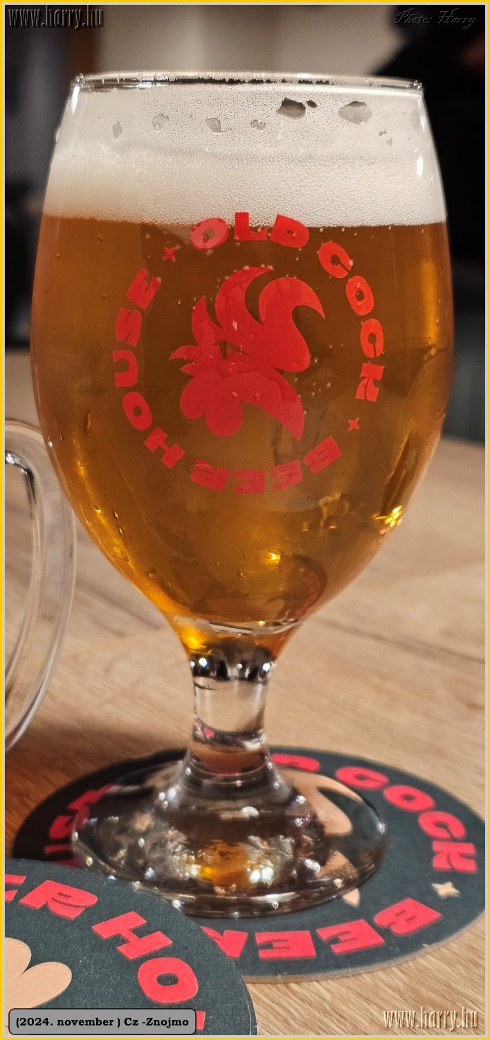 2024.11-Cz-Znojmo-073.jpg