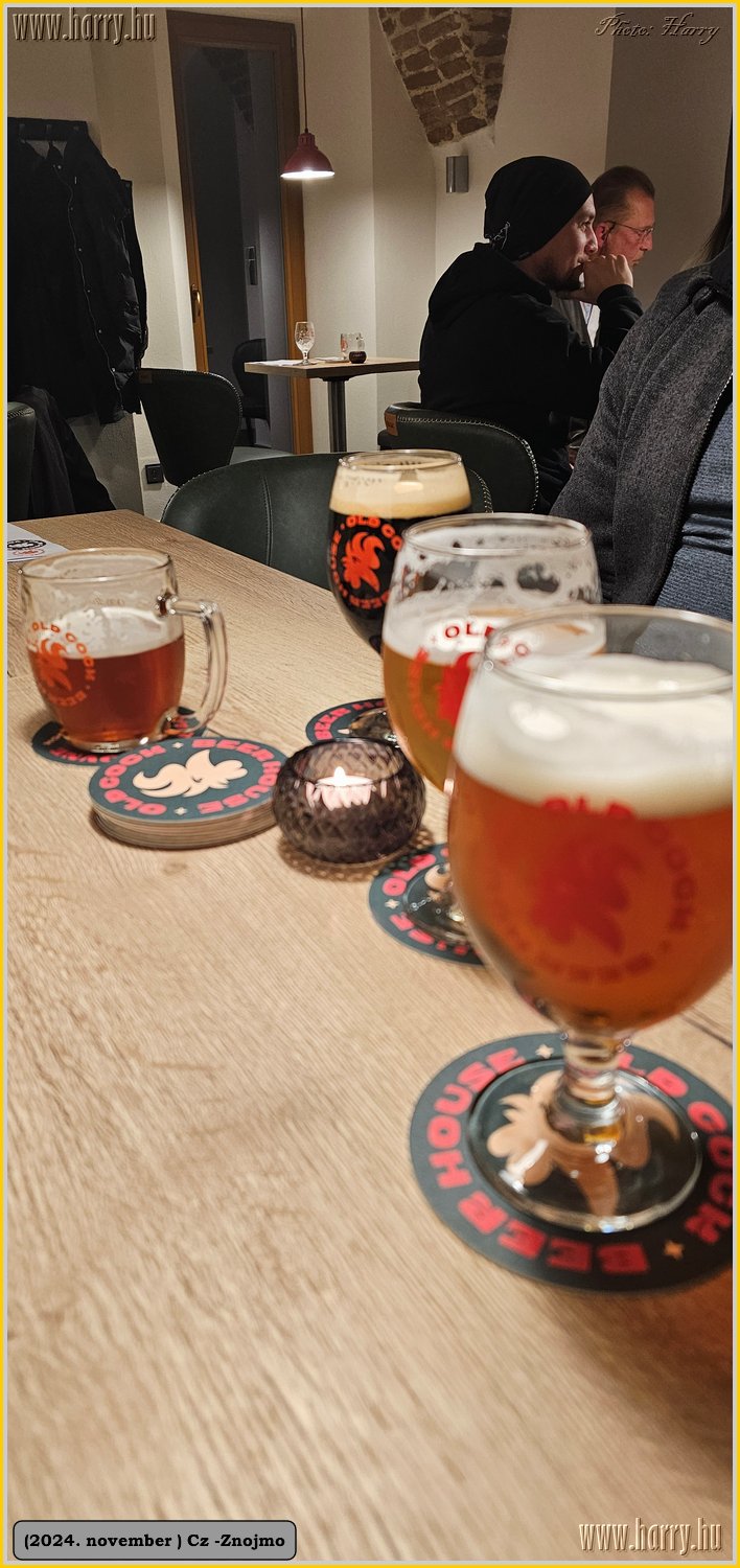 2024.11-Cz-Znojmo-074.jpg