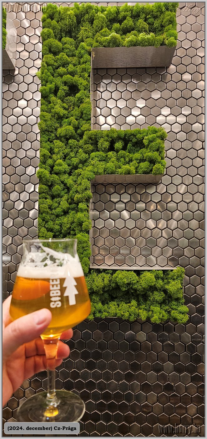2024.12-Cz-Praga-262.jpg