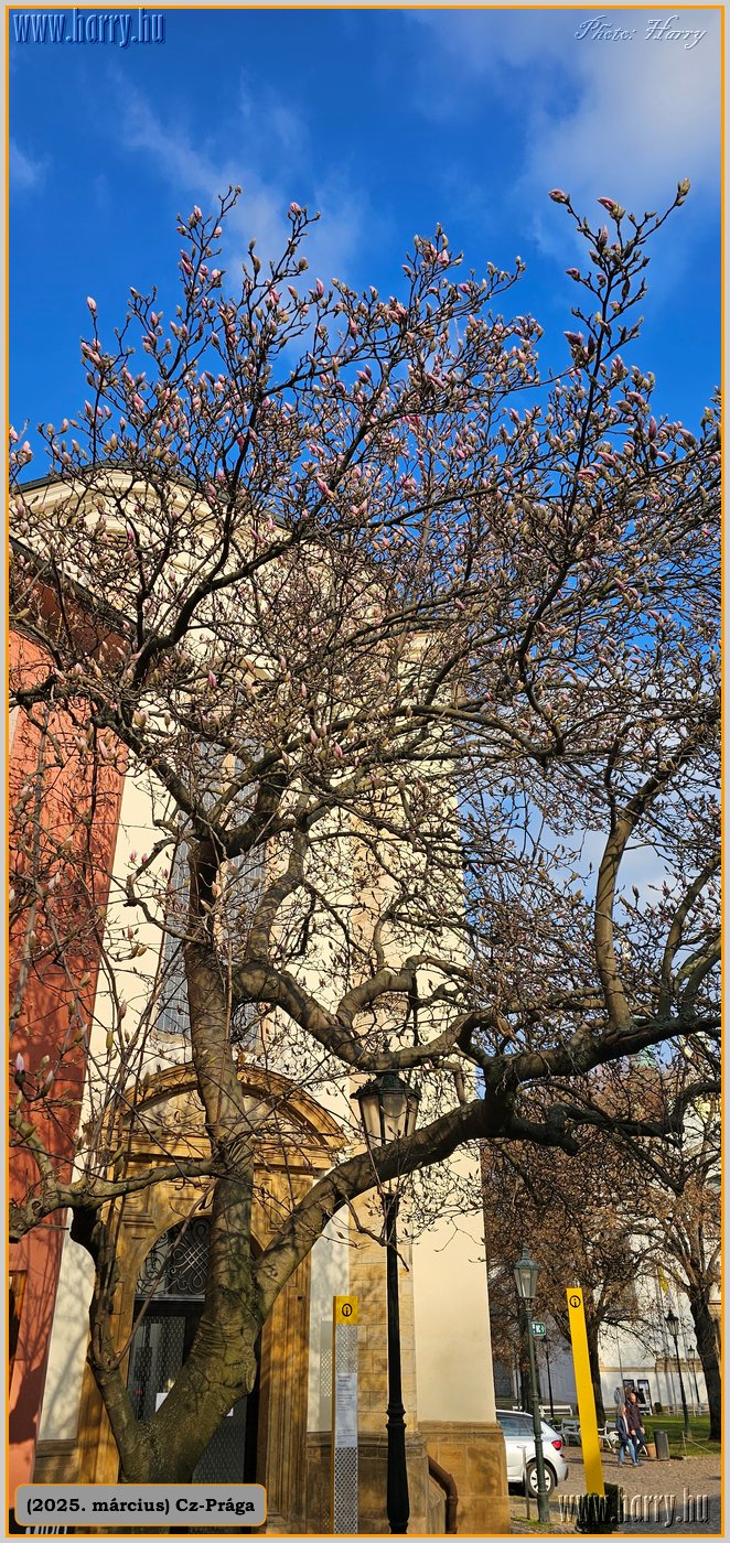 2025.03.-Cz-Praga-004.jpg