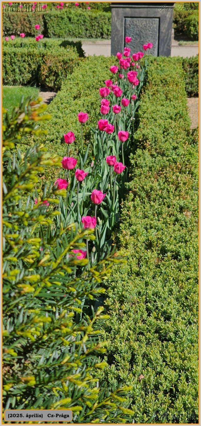 2025.04.-Cz-Praga-108.jpg