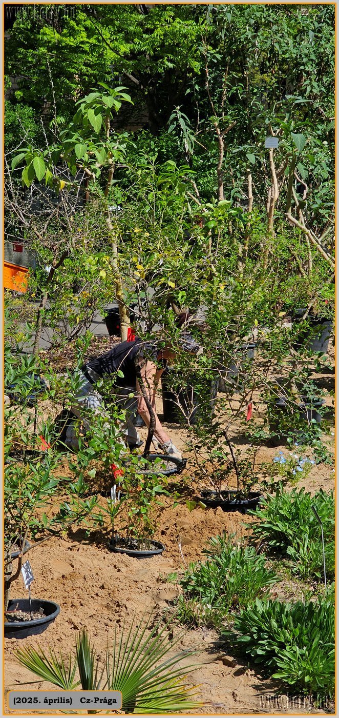 2025.04.-Cz-Praga-210.jpg
