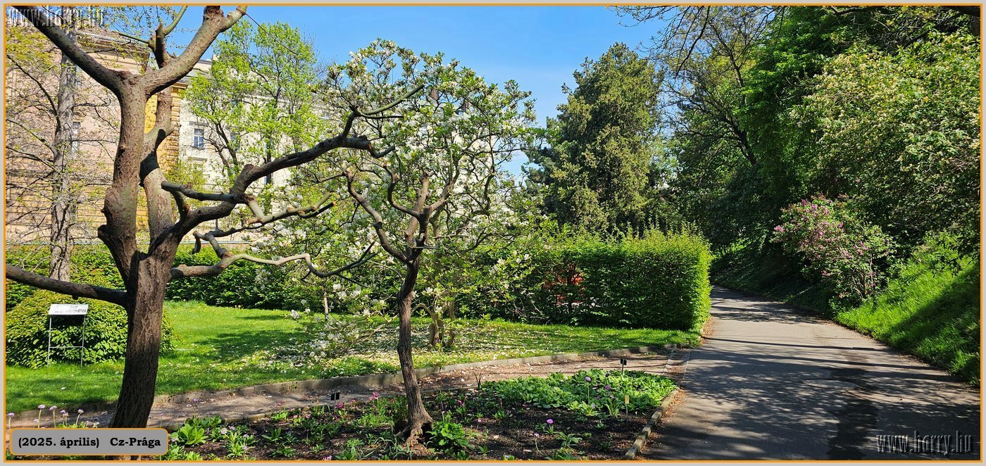 2025.04.-Cz-Praga-213.jpg