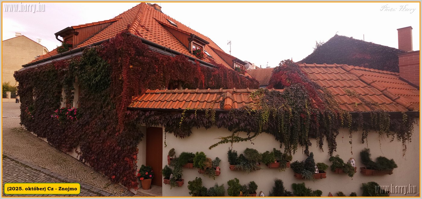 2025.10.-Cz-Znojmo-031.jpg