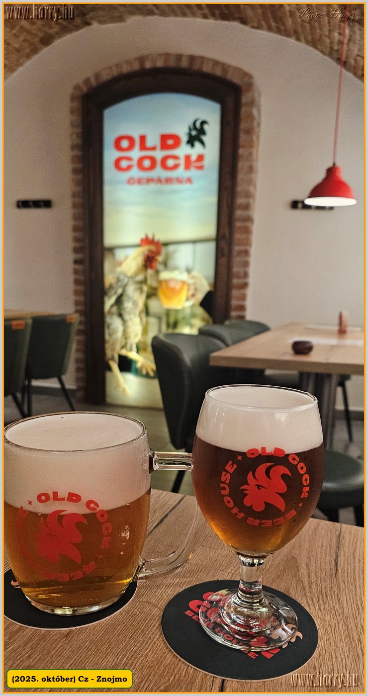 2025.10.-Cz-Znojmo-055.jpg