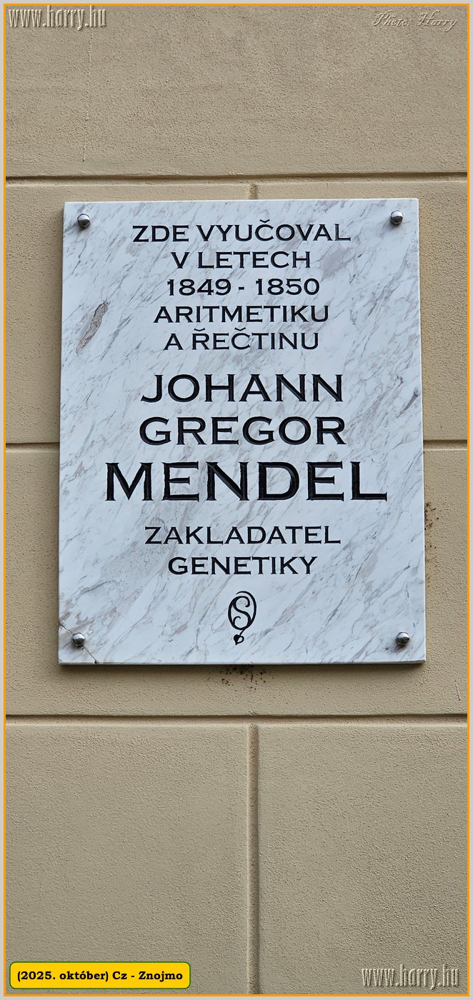 2025.10.-Cz-Znojmo-164.jpg