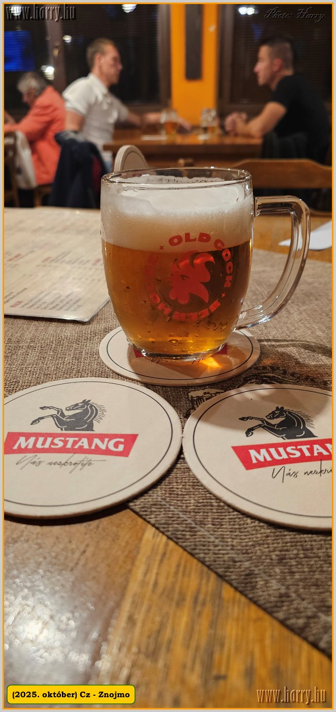2025.10.-Cz-Znojmo-197.jpg