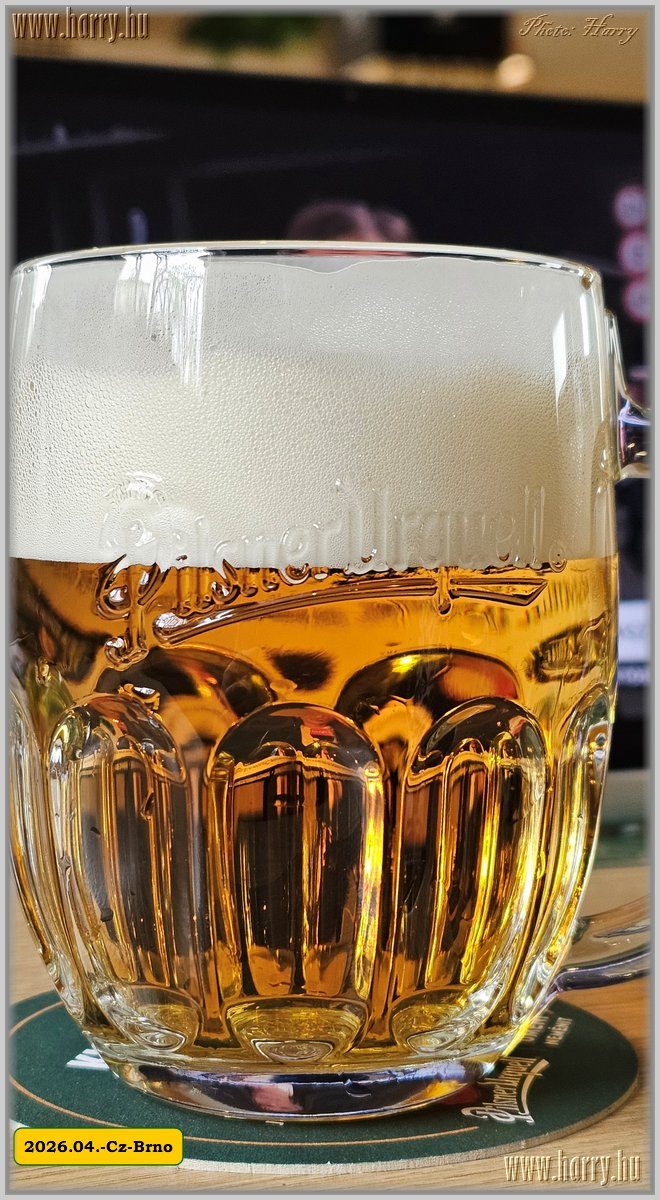 2026.04.-Cz-Brno-002.jpg