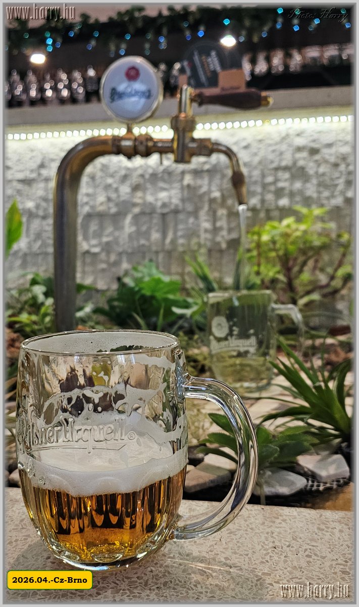 2026.04.-Cz-Brno-003.jpg