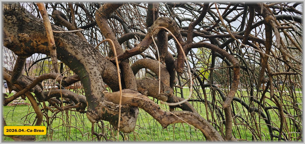 2026.04.-Cz-Brno-012.jpg
