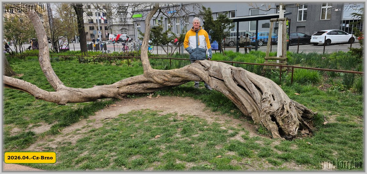 2026.04.-Cz-Brno-013.jpg